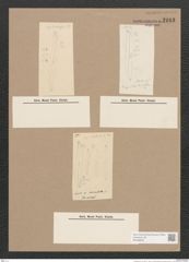 Pleurosigma sp. (de-Toni-Nr.: Genus 13) Zeichnungen Sammlung Grunow Nr. 2183 (NHMW-BOT-W0369252)